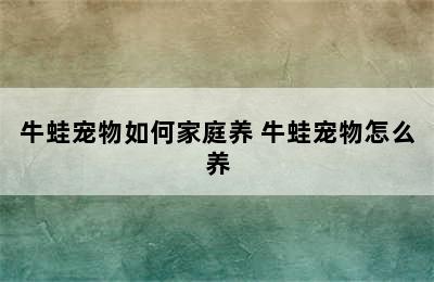 牛蛙宠物如何家庭养 牛蛙宠物怎么养